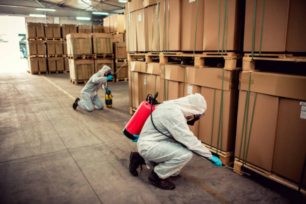 Best Pest Inspection Near Me  in Winfield, AL