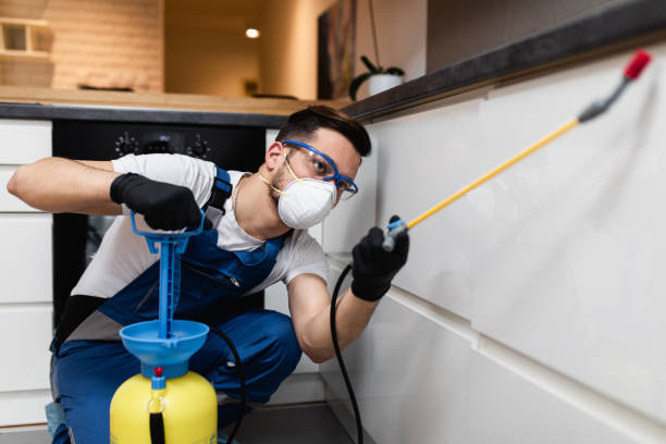 Best Exterminator Services  in Winfield, AL