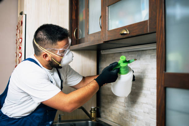 Best Mosquito Control Services  in Winfield, AL
