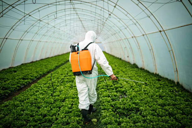 Best Insect Control  in Winfield, AL