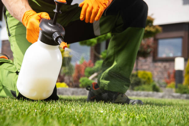 Best Wasp Removal Services  in Winfield, AL