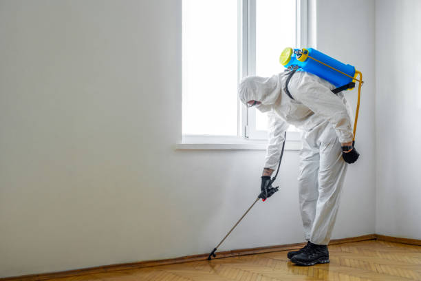 Best Residential Pest Control  in Winfield, AL