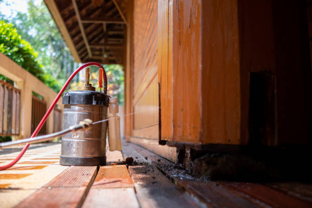 Best Affordable Pest Control Services  in Winfield, AL
