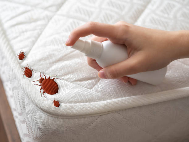 Professional Pest Control in Winfield, AL